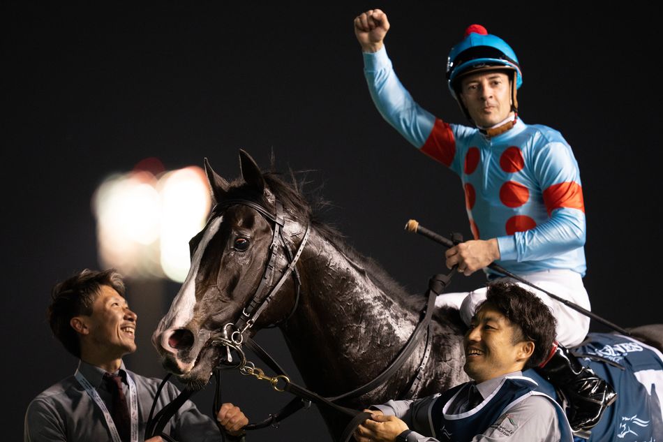 World's best racehorse Equinox 'showing more power' before first race