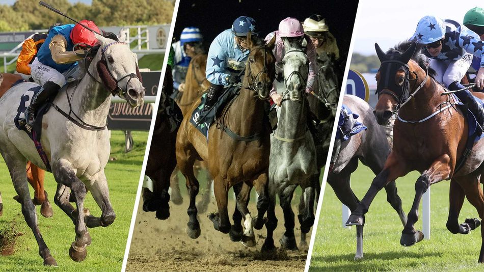 Three key horses at Musselburgh on Saturday - including one for a leading jumps trainer seeking a big Flat pot