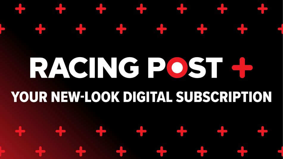 Introducing Racing Post+, the new name for our digital subscriptions ...
