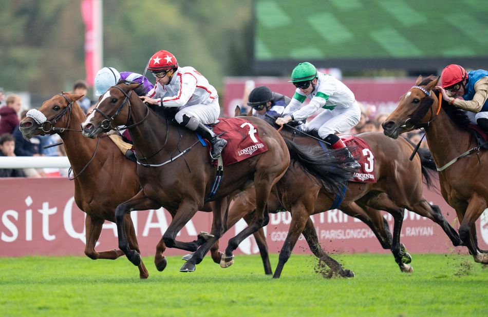 Jessica Harrington strikes in the Opera as Barnavara clings on from fast-finishing See The Fire