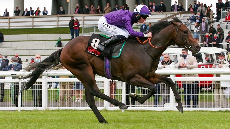 Spring House Racing Stables First mares in foal for Springfield House Stud's Go Bears Go | Racing Post