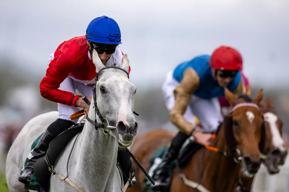Cheveley Park's Group 1 winner and leading Arc hope Estrange retired