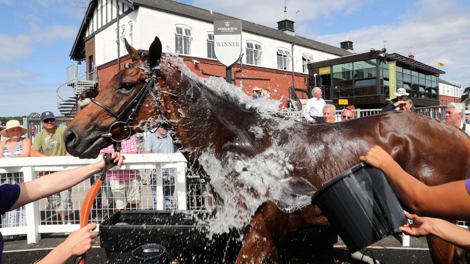 June temperature record under threat this week, so how does British racing cope with extreme heat?