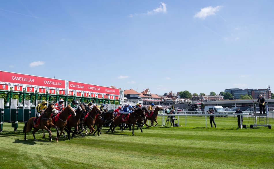 Equine flu scare as confirmed case discovered in vaccinated thoroughbred near licensed training yard