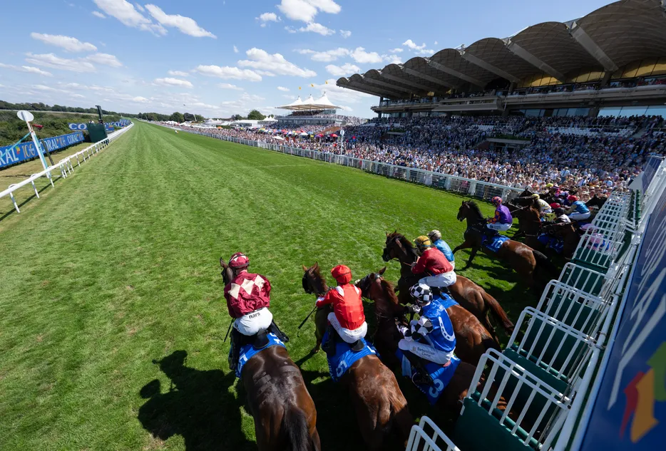 British racing signs up with Royal Foundation charity to support suicide prevention campaign