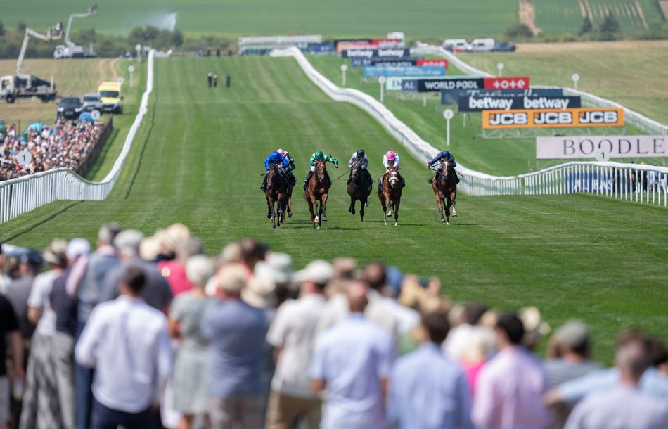 An unlucky defeat screamed future Group 1 winner - but it's a wonderfully wayward two-year-old who really leaves us wanting more