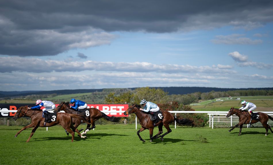 Jockey Tudor Suspended and Trainer Williams Fined as Annual Invitation Ruled a Non-Trier — image 1