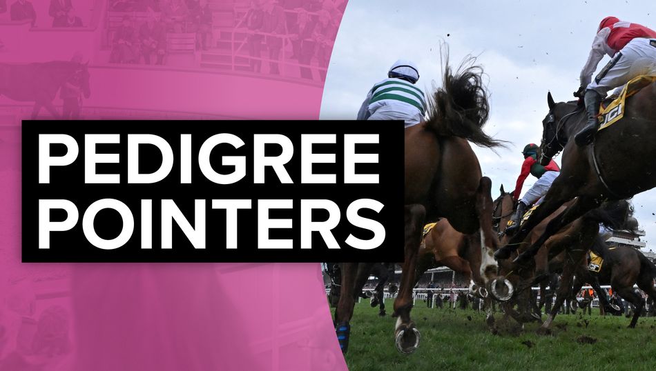 'I think he's exceptionally good' - Gordon Elliott's £310,000 ...