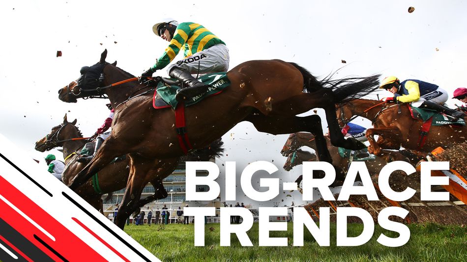 Bigrace trends key stats to help you find the Stayers' Hurdle winner