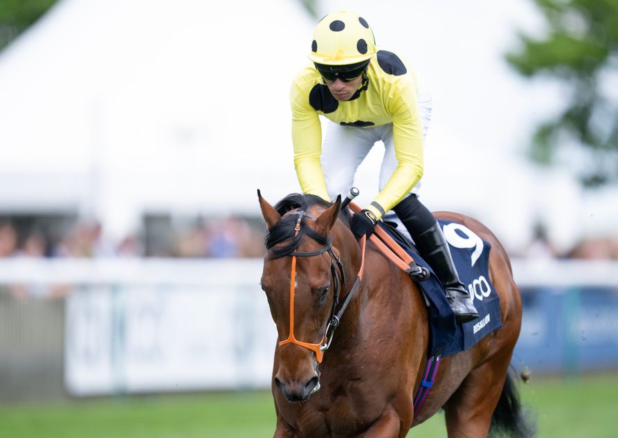Richard Hannon 'sorry to see' Rosallion go as top miler retired to stud ...