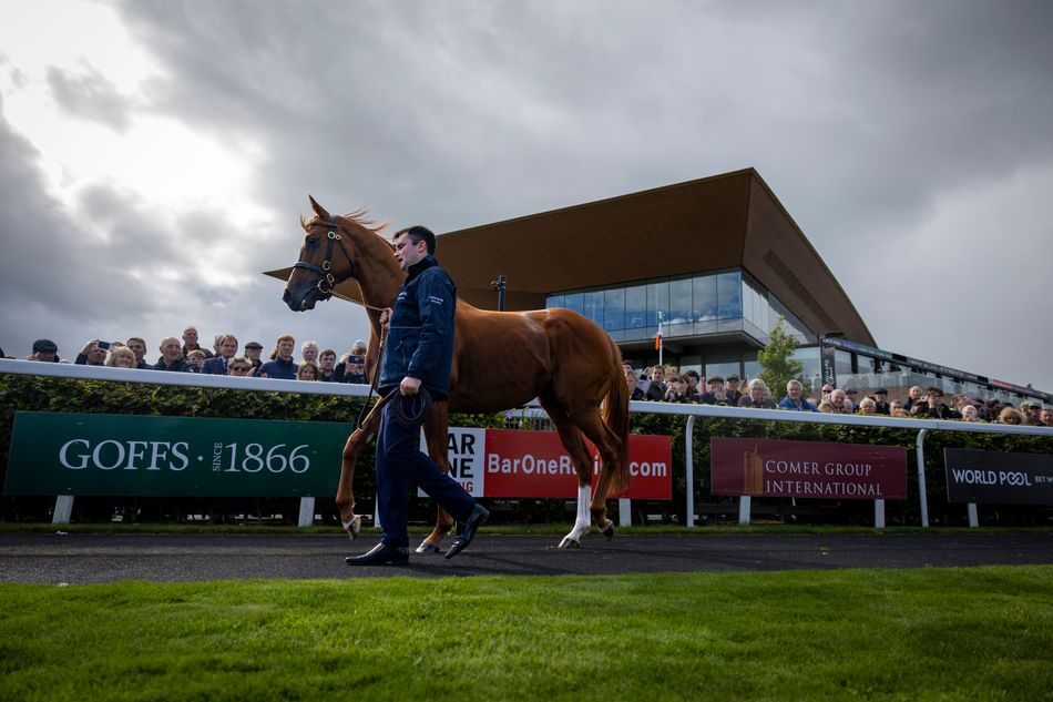 'He has an enormous heart' - Moyglare Stud's Fiona Craig on the great Kyprios