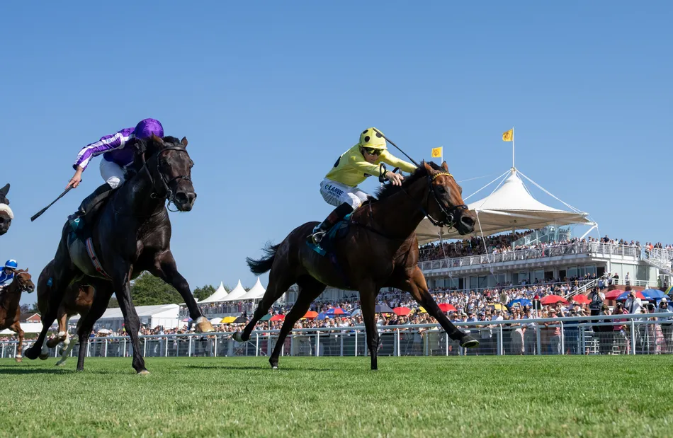 'We'll try to beat him' - Aidan O'Brien confident 'improving' Gstaad can turn the tables on unbeaten Bow Echo in potential French rematch