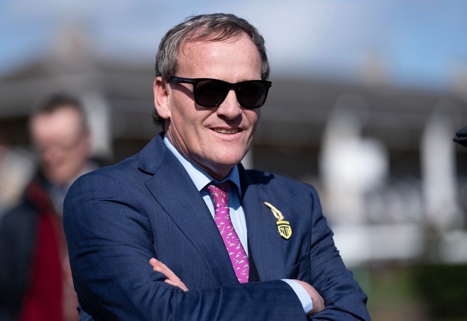 'Sean's doing light to ride her, which is a tip in itself' - Richard Hannon eager to extend remarkable record in Super Sprint