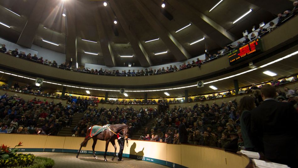 Goffs introduces elite Chicquita Session for November Sale