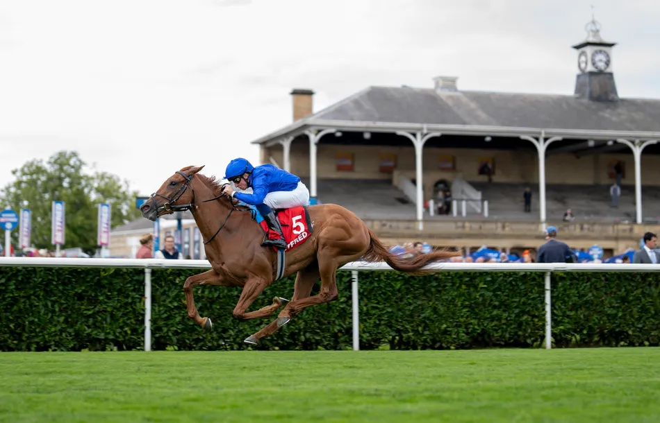 Musical Times on tune and new 1,000 Guineas favourite - but does Charlie Appleby think she's a perfect Classic candidate?