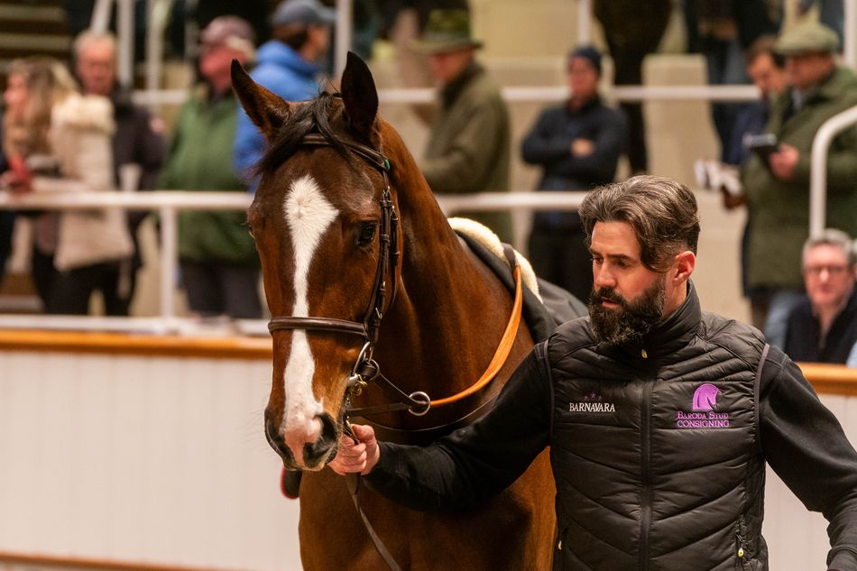 ’An occasion not to be missed’ - stellar names confirmed in Tattersalls December Mares Sale catalogue
