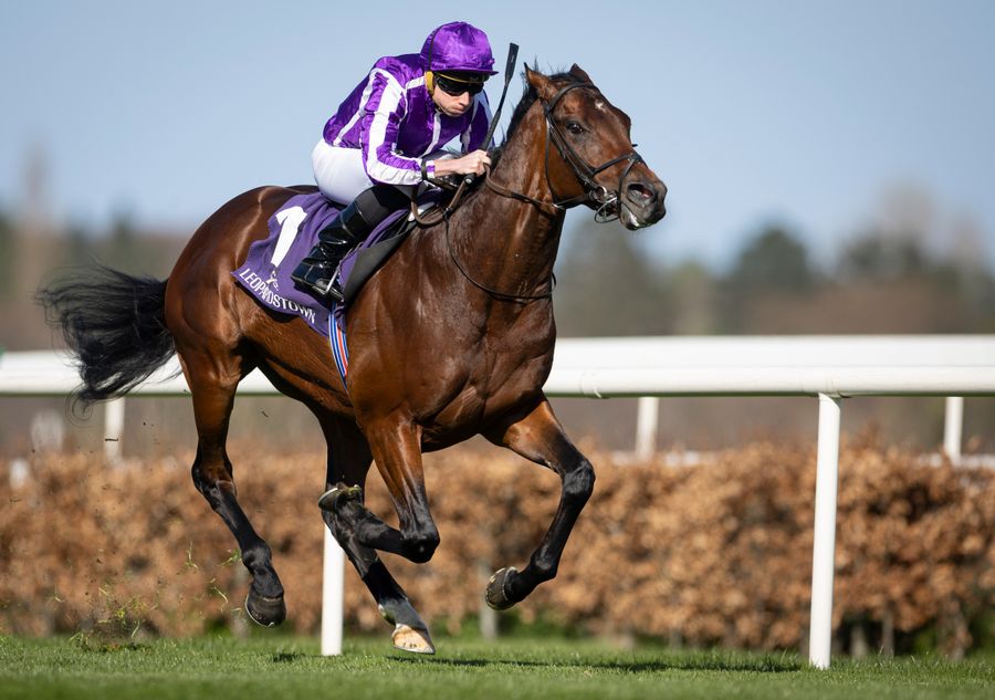 Delacroix introduced to breeders at €40,000 as Coolmore announce top ...