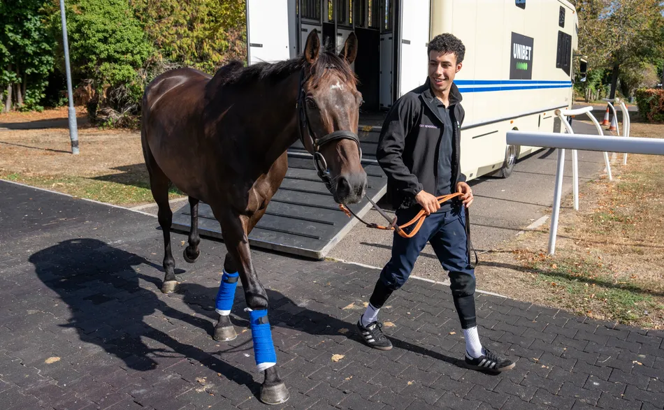 Heavy rain in Milan brings relief for Nicky Henderson as Constitution ...