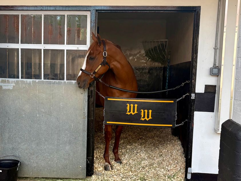 ‘We put a lot of faith in Wesley and his opinion’ - Three Chimneys back for another Queen Mary challenge