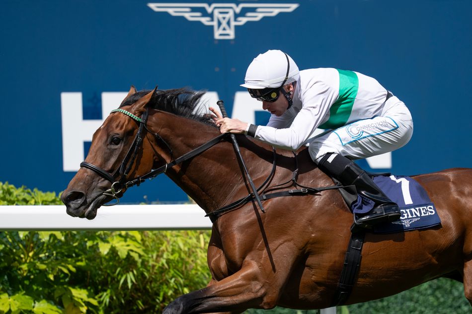 'She's been an absolute pleasure to train' - Friendly Soul misses Breeders' Cup and heads into retirement