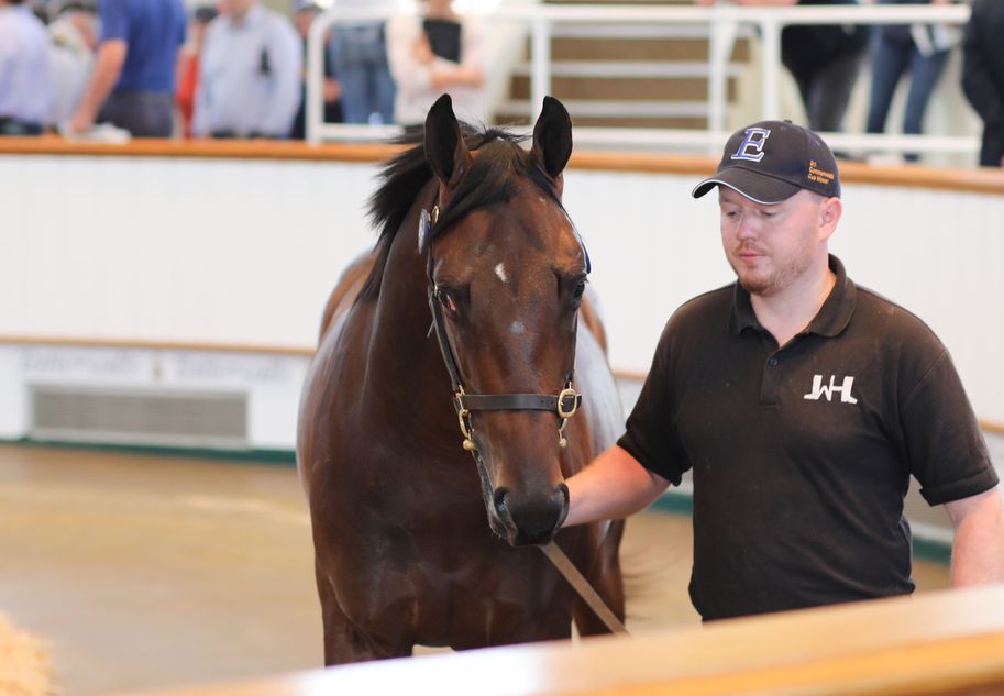 'He walked around the sales ring like he owned it' Fellowes takes a