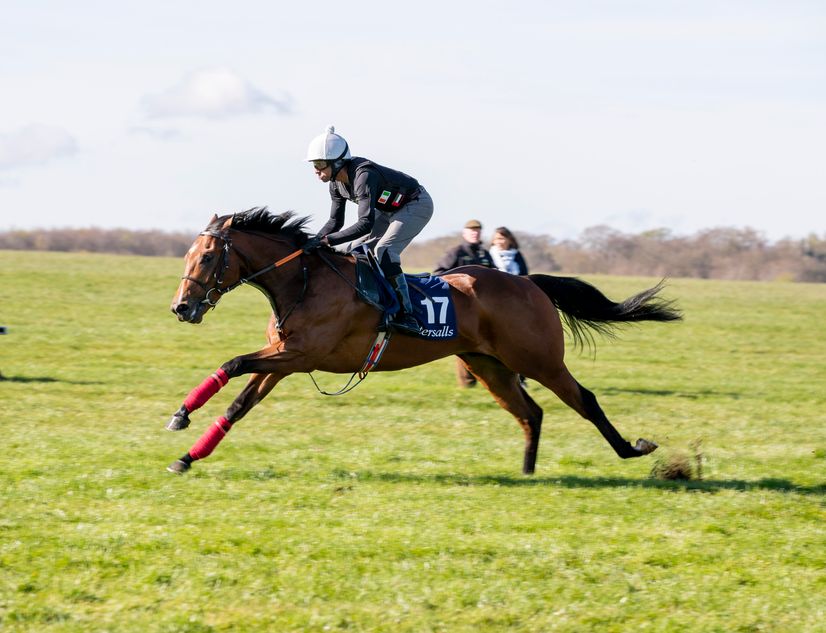 Record-breaking colts take to the track at Haydock and Yarmouth ...