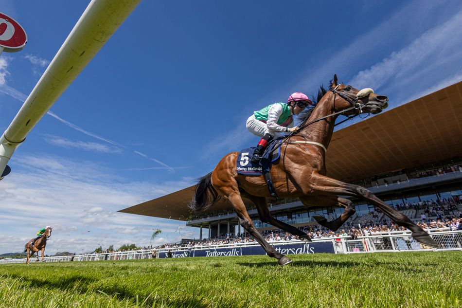 Dermot Weld has some 'major targets' in mind for Juddmonte's hugely impressive Curragh winner