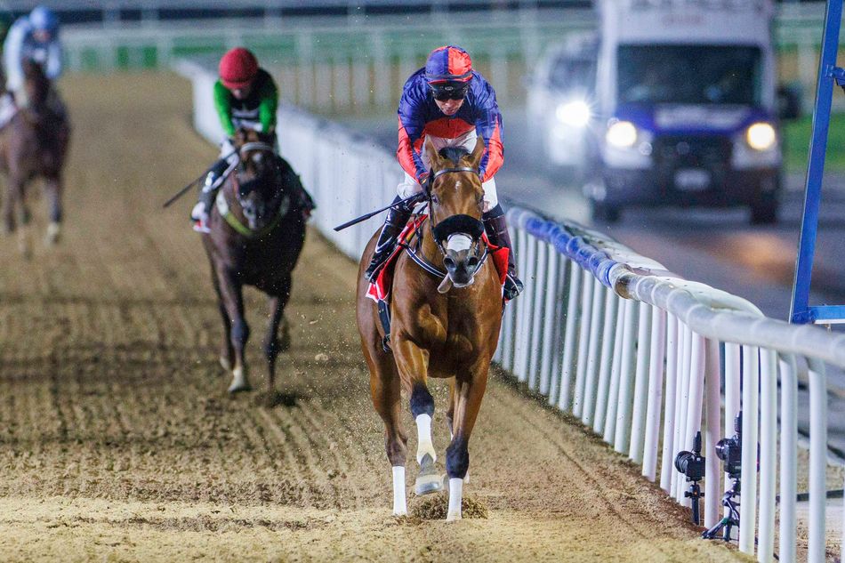 Emirates Racing Authority investigating Deva Racing as probe into collapsed syndicate widens