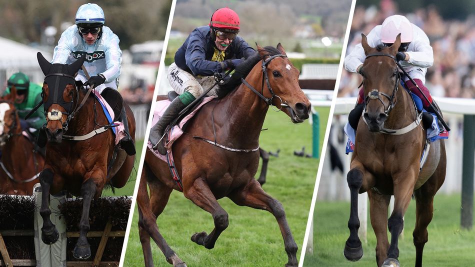 County Hurdle preview: 'How well in could Absurde still be?' - top ...