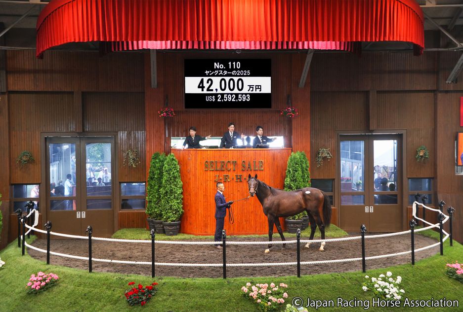 'It's amazing to see his yearlings prove so popular' - £1.94 million Equinox colt headlines strong demand at JRHA Select Sale