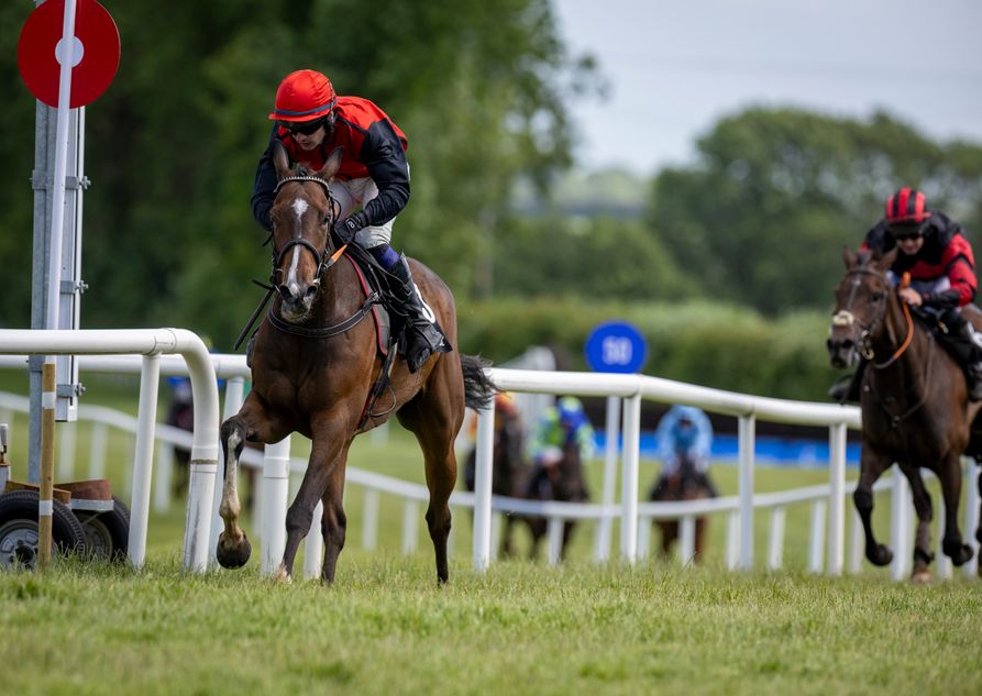 Who tops the shortlist in a competitive handicap hurdle at Navan?