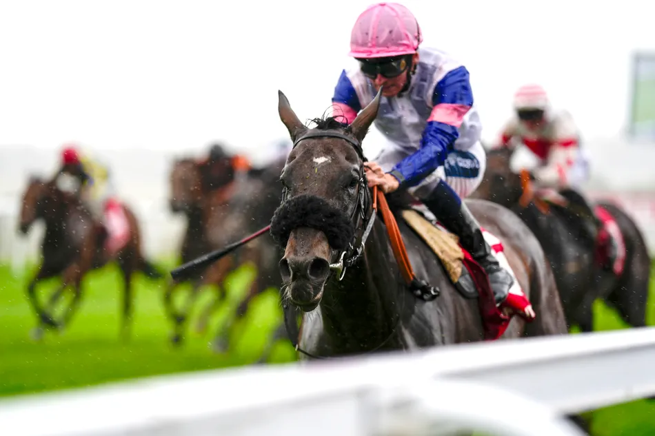 'There's a lot to like about her' - Forty Years On handed Group assignment after impressive handicap success