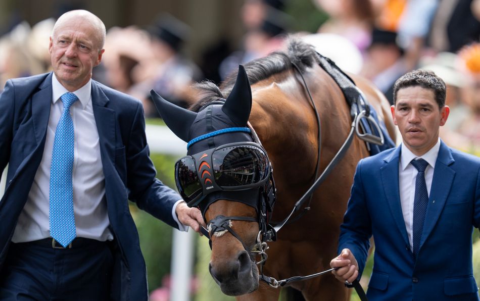 'He looked like he’d never race again' - John Gosden hails 'extraordinary' Trawlerman after Gold Cup epic