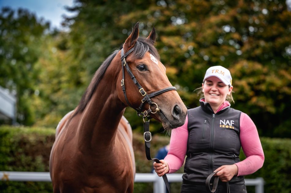 ‘There was fair weight on that filly's shoulders’ - Silent Beauty kick-starts another busy sales season for Mountarmstrong Stud