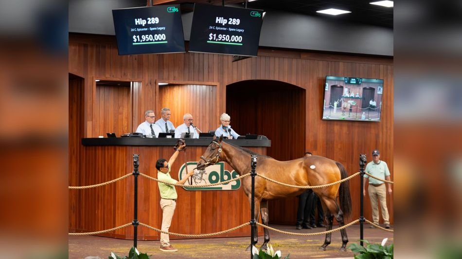 Amo Racing creates fireworks at OBS with $1.95 million Epicenter colt