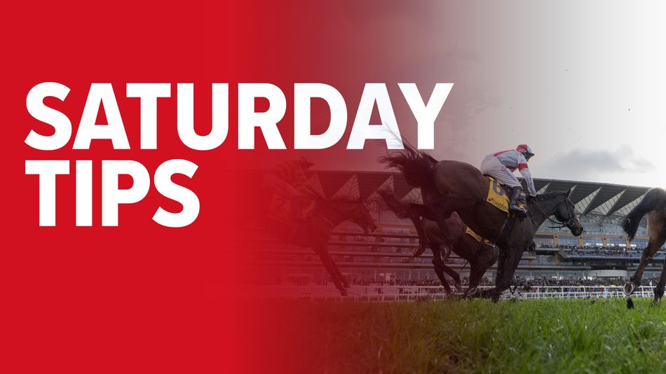 Saturday Racing 'He looks extremely promising and can cause an upset' - why this horse ...