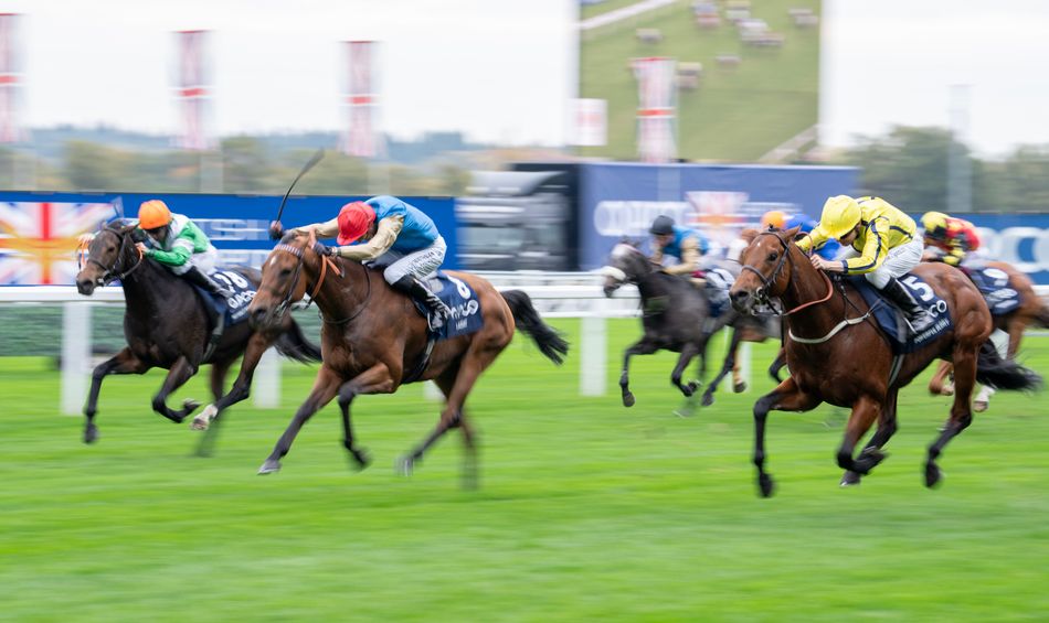 Wathnan Racing Post Wathnan already preparing strong squad for next season with British ...