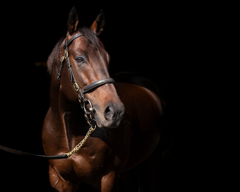 'We believe our fees provide value to breeders in an unpredictable ...