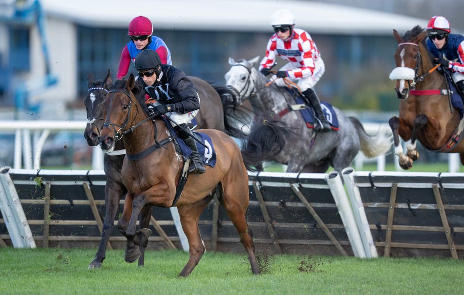 'I think he's well handicapped' - seven chasing newcomers clash in open Lingfield handicap, but who holds the key?