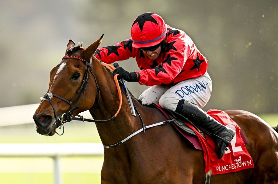 A busy Monday in Britain, Ireland and France sees The Big Westerner put her Cheltenham Gold Cup hopes on the line at Wexford