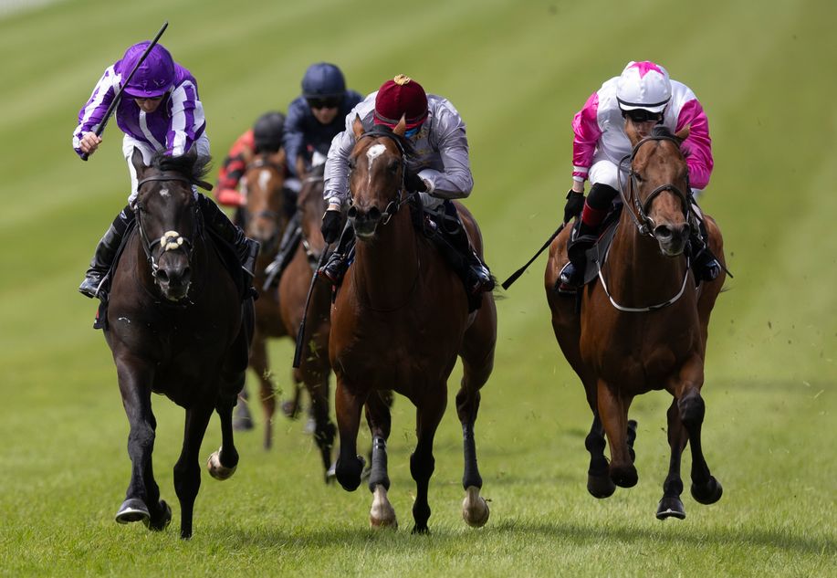 The Flat is back! Key horses, jockeys and a trainer to note for 2026 as the Irish turf season kicks off