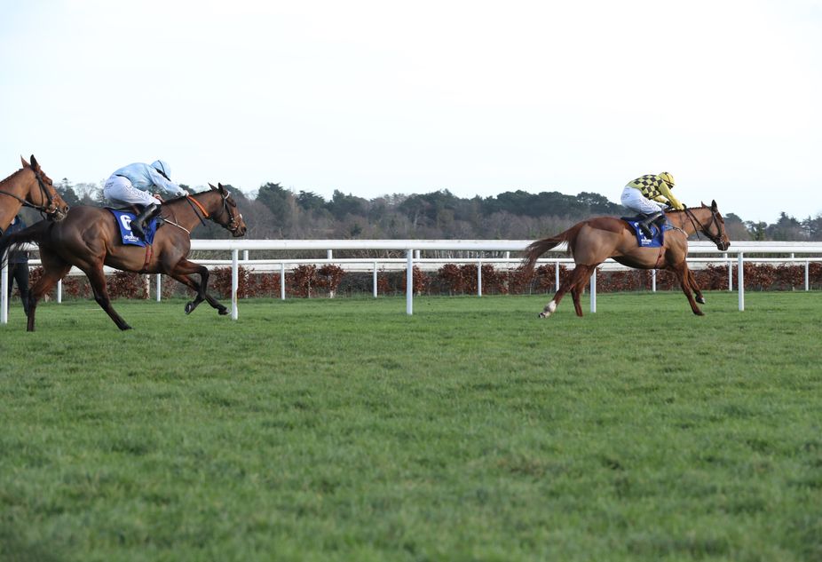 How the pendulum swung away from Honeysuckle in the Champion Hurdle ...