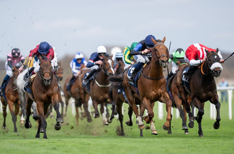 Lincoln hopefuls: A change of stable can be a winning factor - News Directory 3