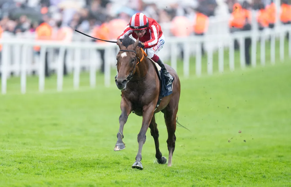 Runaway Group 1 winner being aimed against Daryz at Longchamp - although Constitution Hill Kempton clash is a possibility