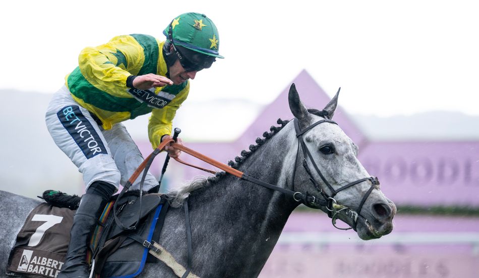 Doc Miracle Racing Holy water from the horseless syndicate: the divine intervention behind ...