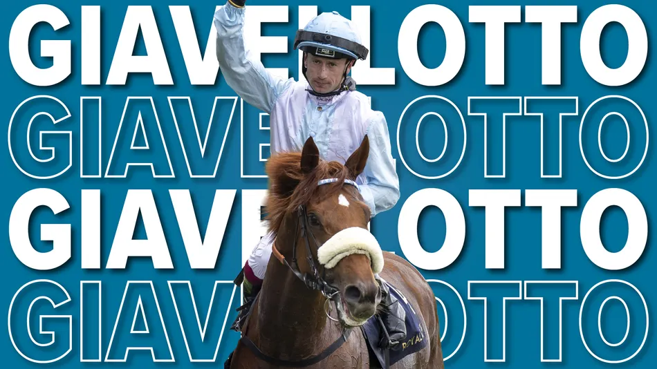 Billy Loughnane partners Giavellotto for the first time as Marco Botti's stable star chases more international riches