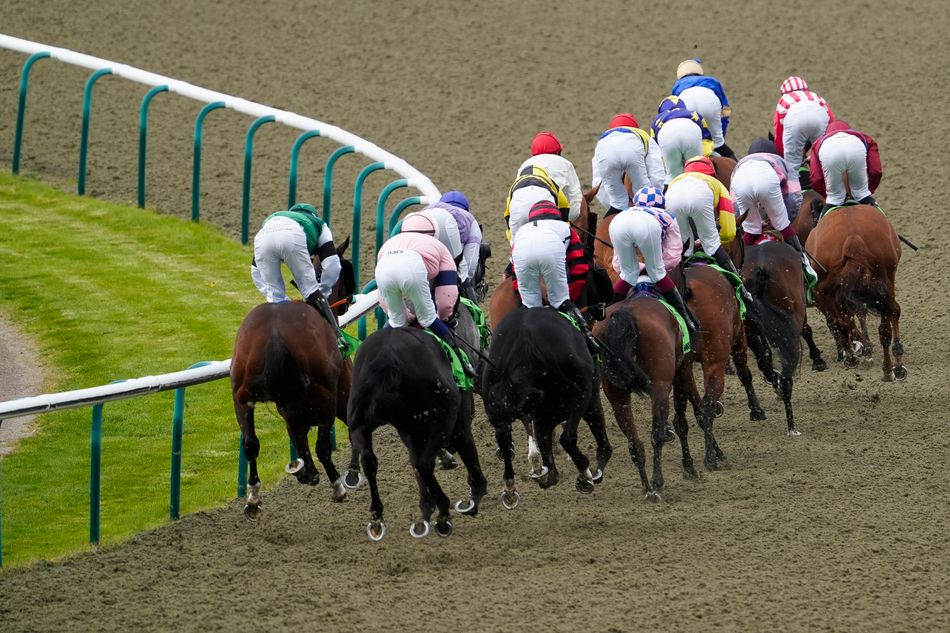 'I'm thinking this might be it for me in the sport' - owner considers quitting after horse mistakenly withdrawn at Lingfield