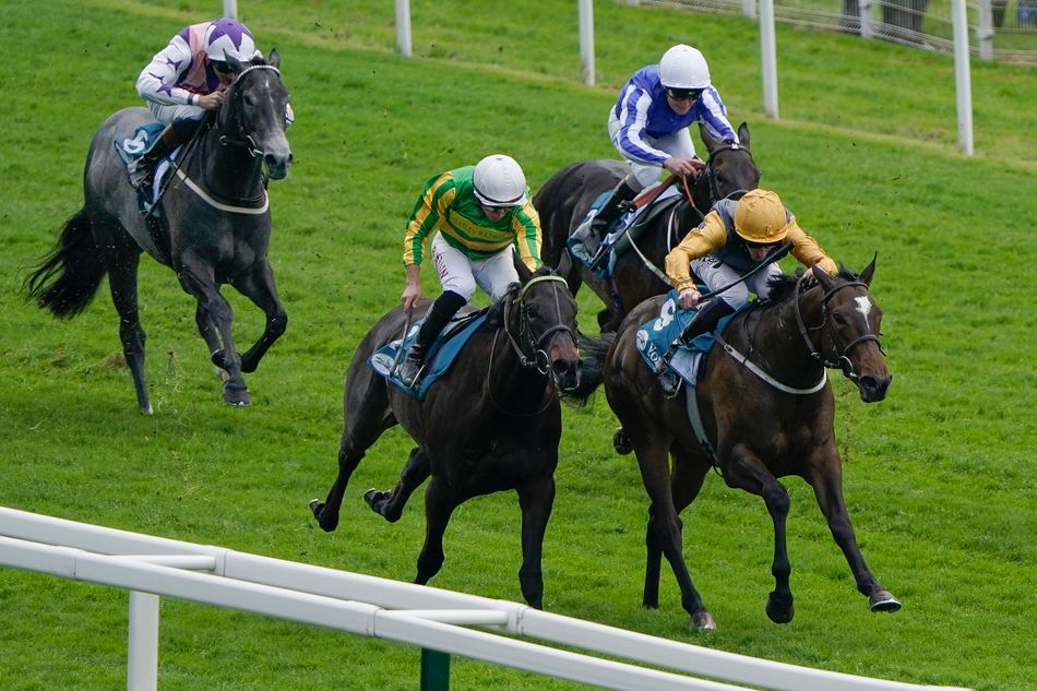 Wathnan Racing snap up eyecatching debut winner with Royal Ascot aim ...