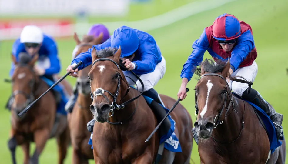 Photo: Racing Post Darkness Falls Narrows Beat Desert Castle to Win Dewhurst Stakes
