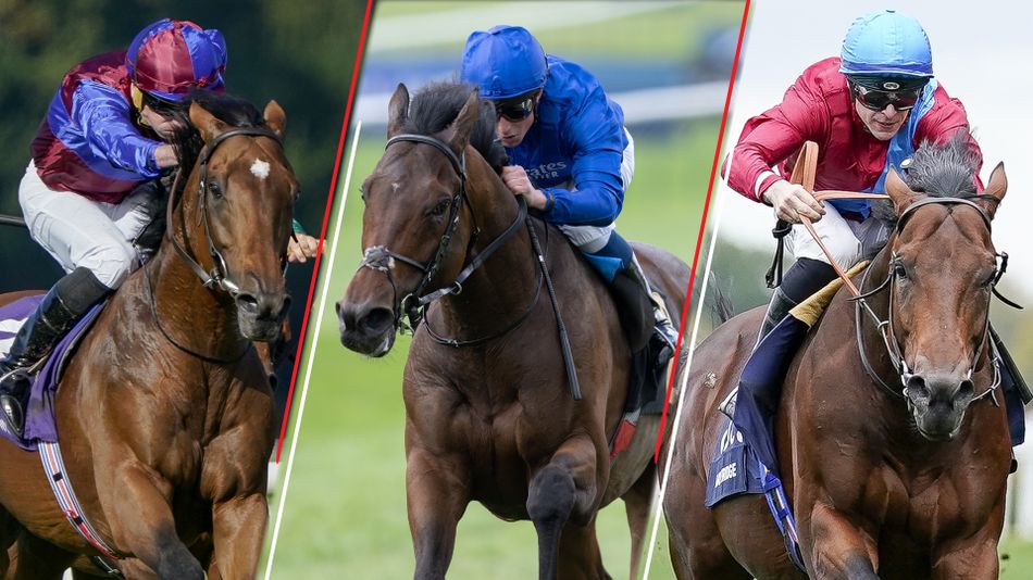Race to savour: big guns ready to rumble in mouthwatering Prince of Wales's - Vimarsana News